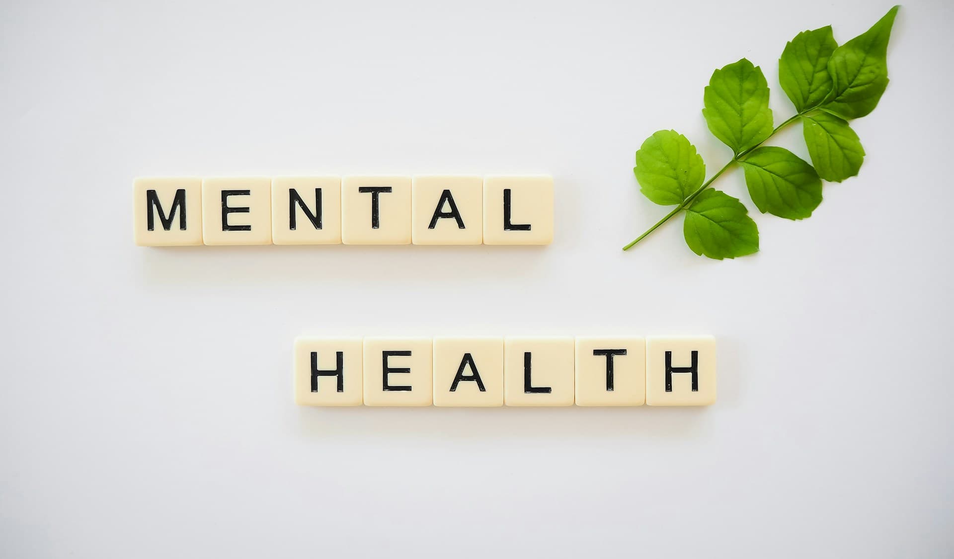 Mental Wellness in Schools