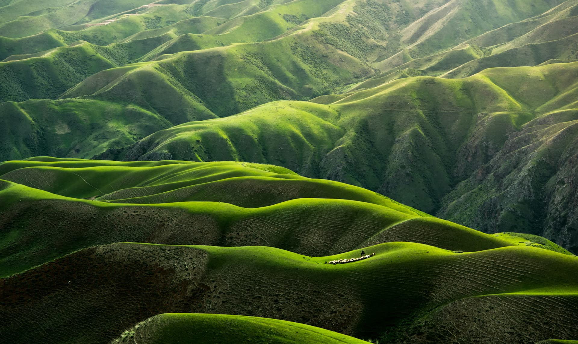 green moutain background